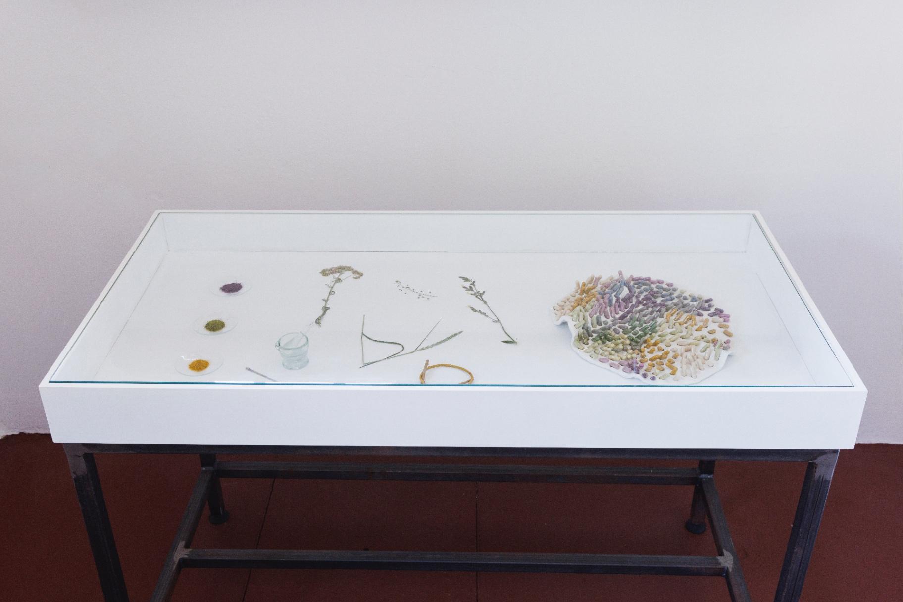 Project image 4