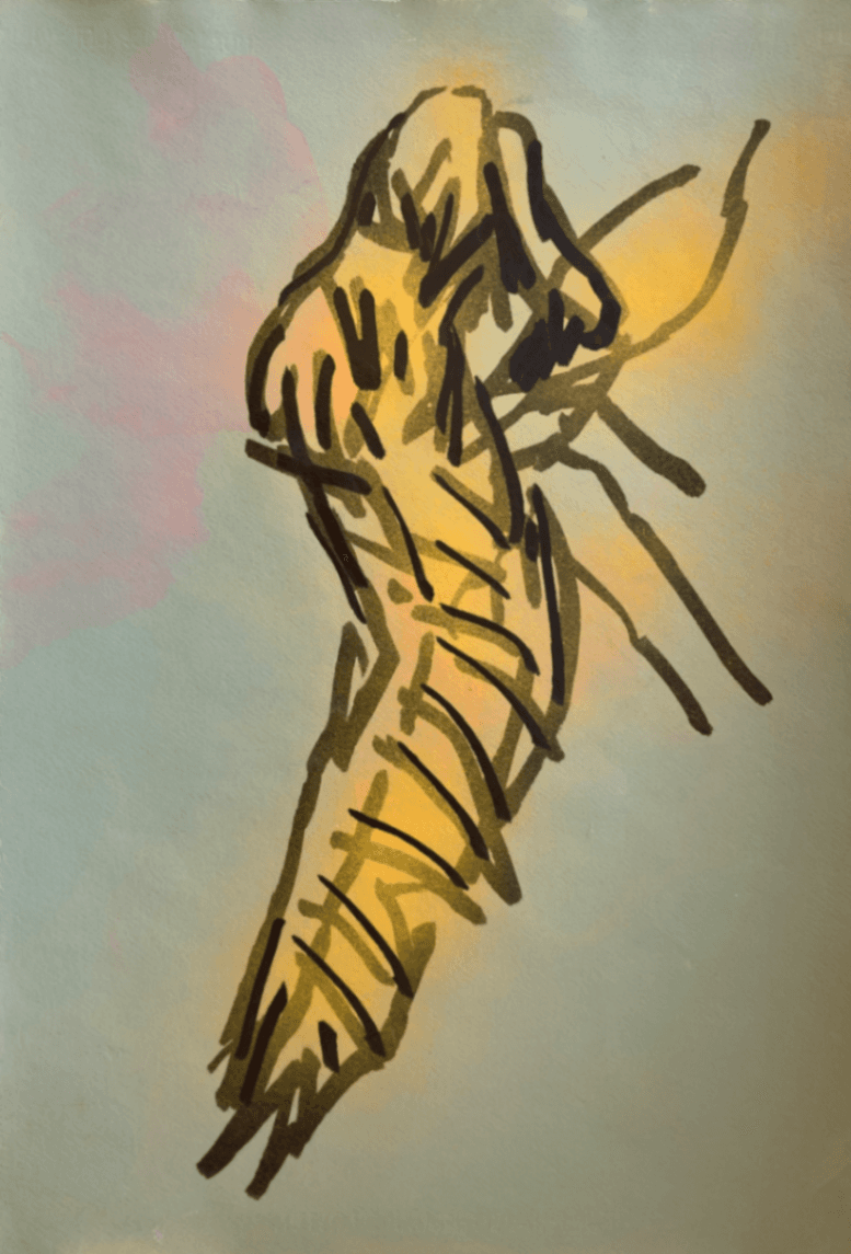 Project image 1