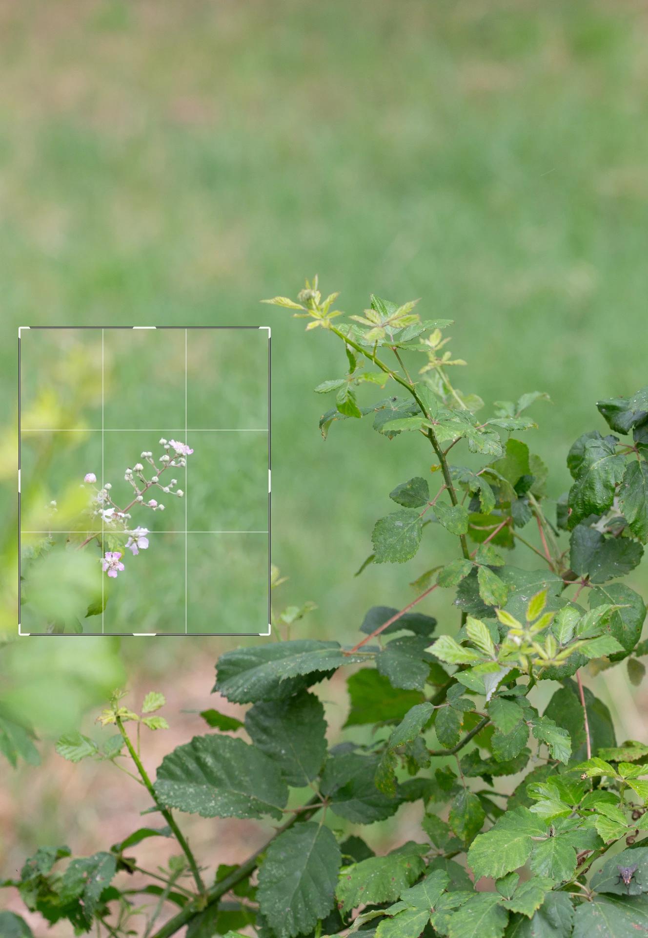 Project image 10