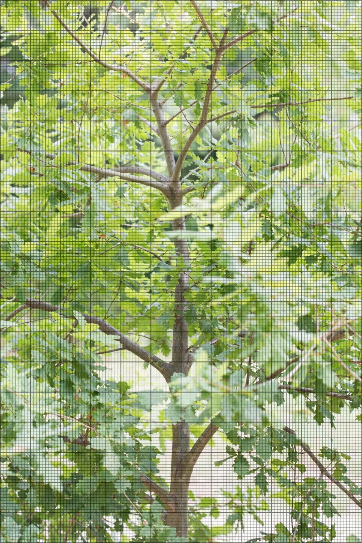 Project image 5