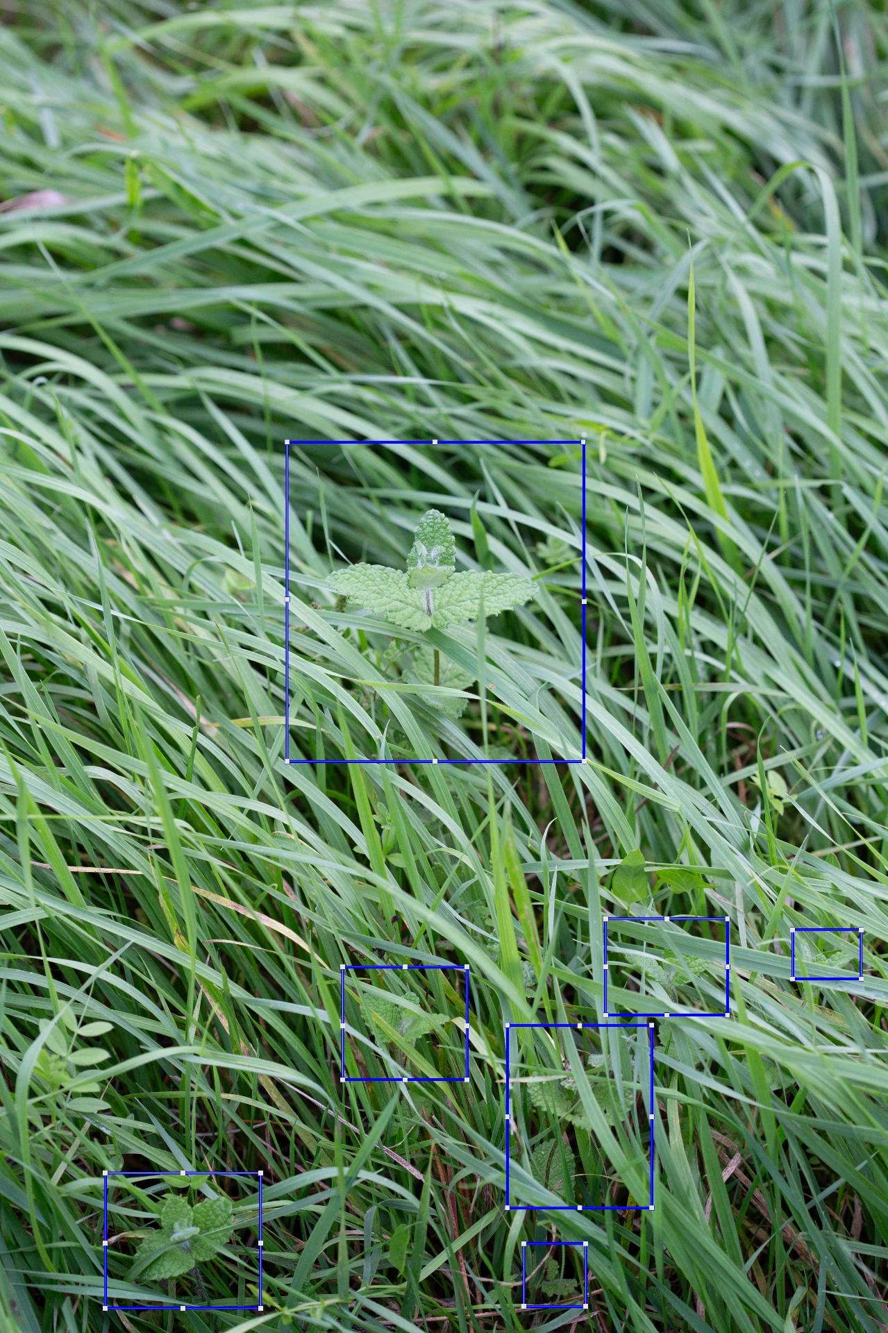 Project image 6